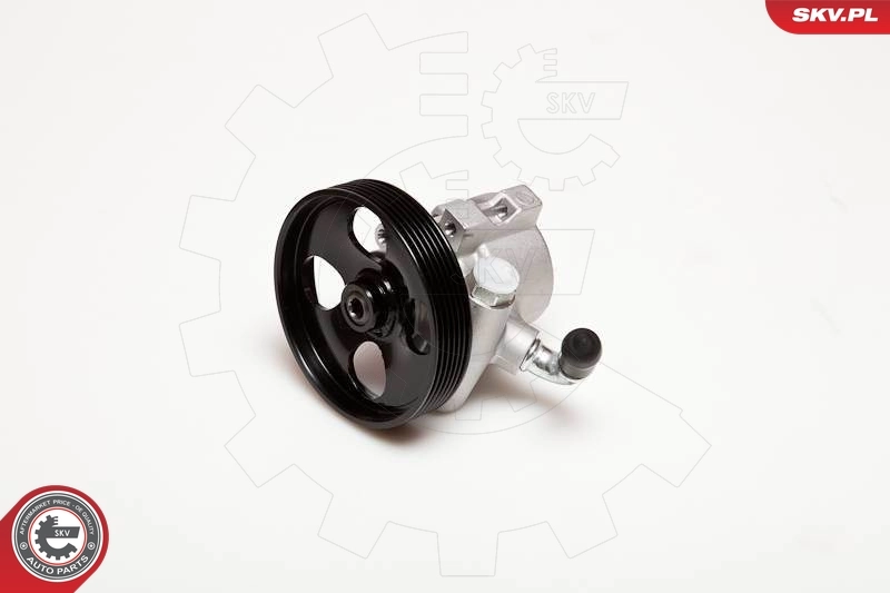 Hydraulic Pump, steering